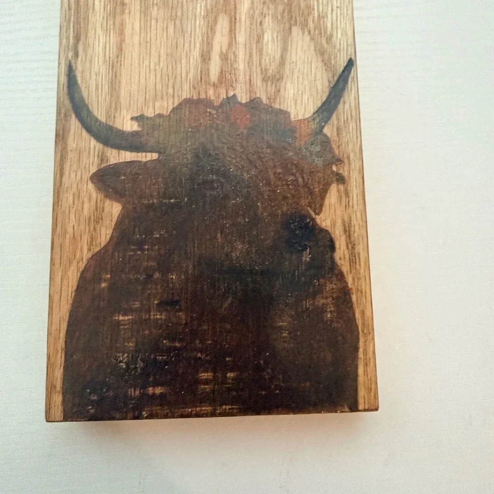 Longhorn Bull Bottle Opener Wall Mount Rustic Wood Beer Cap Catcher Man Cave